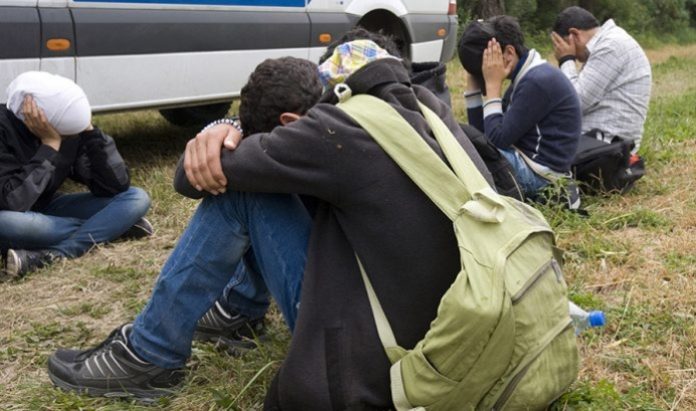Мигранти од Турција и Ирак најдени на автопат кај Неготино