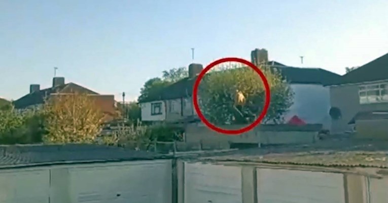 (Видео) Полицијата го бркаше убиецот со меч низ Лондон, објавена е снимка
