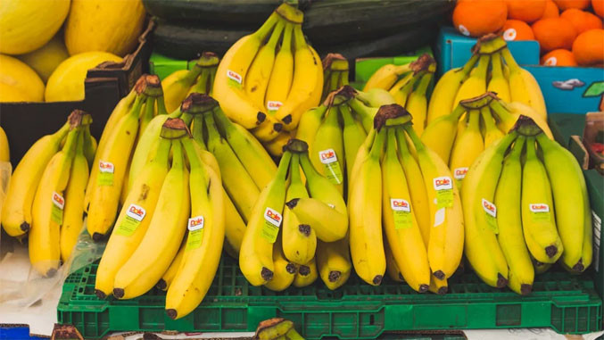 Повеќе од сто килограми кокаин пронајдени меѓу банани во супермаркети во Германија