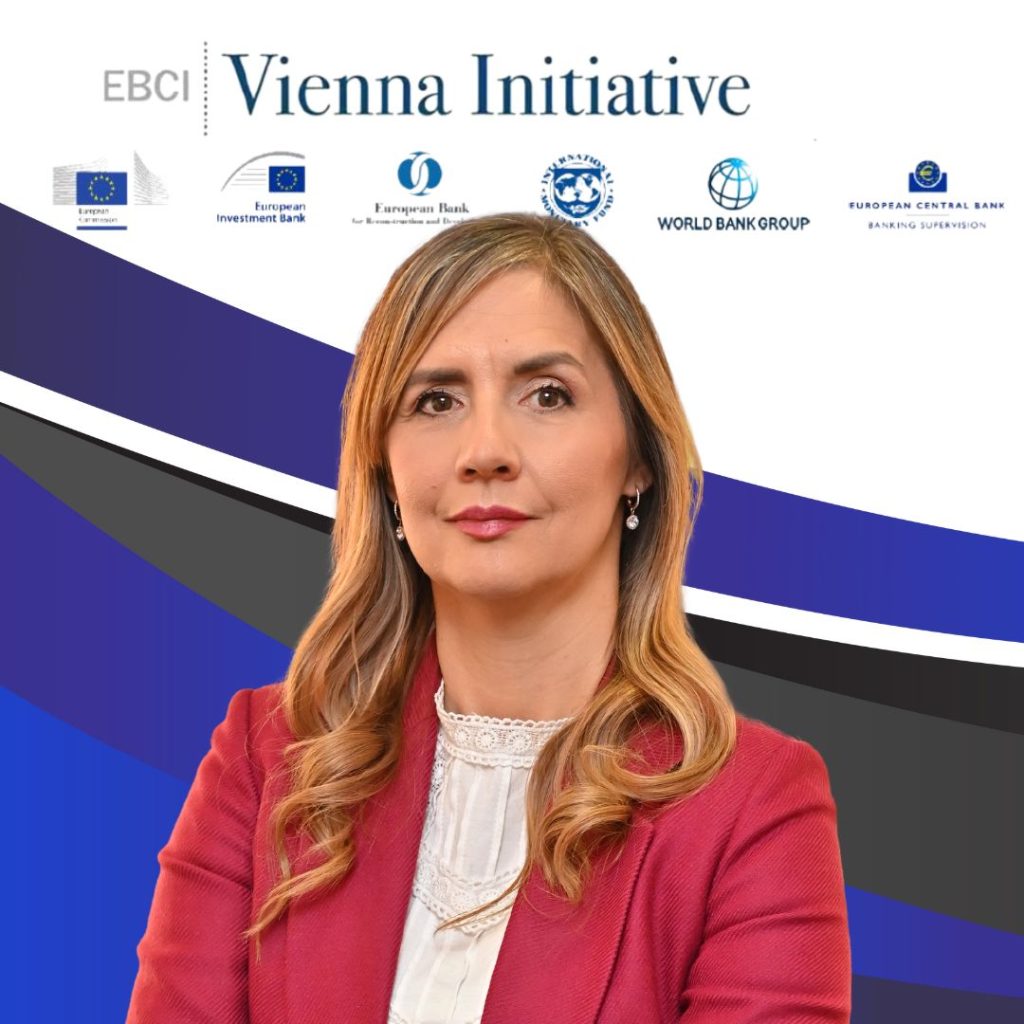 Ангеловска-Бежоска на Форумот на „Виенската иницијатива“: Капитализираноста на македонскиот банкарски систем порасна двојно повеќе од ЦЈИЕ