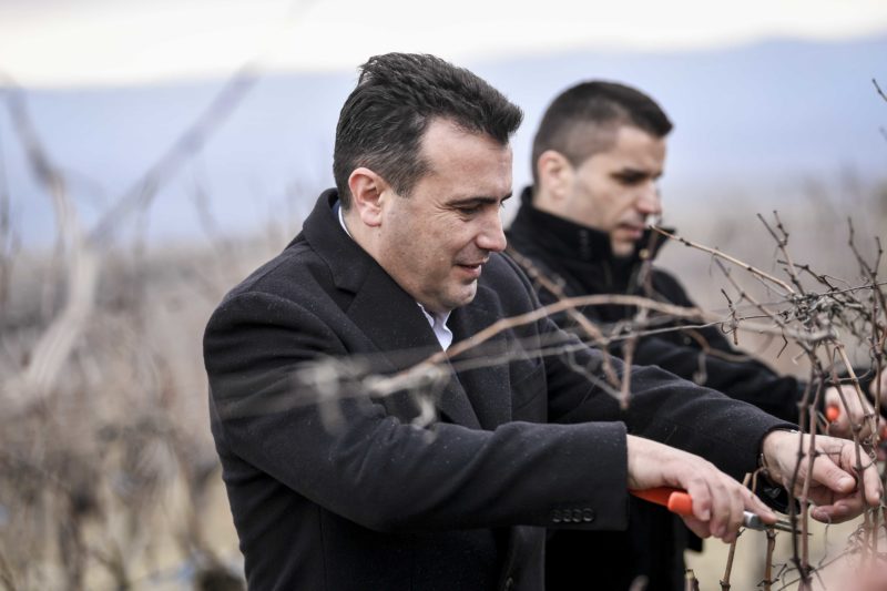 ВМРО-ДПМНЕ: Колку криминални шеми имаат издејствувано Заев, Филипче и Николовски, Обвинителството да отвори постапка