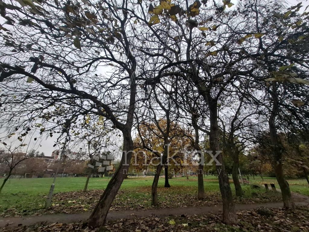 Сончево време со мала до умерена облачност, температурата до 15 степени