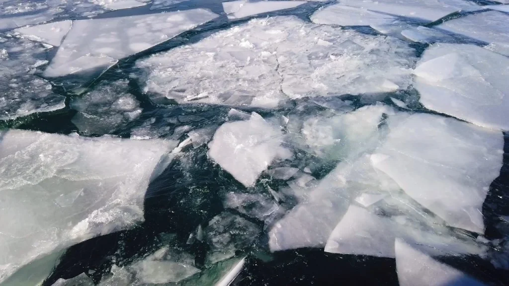 Мразот на Арктикот на историски минимум