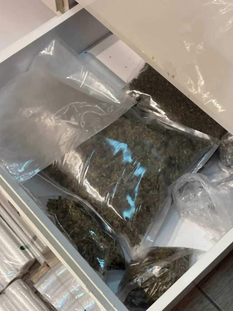 (Видео) Во стан во Скопје пронајдени над 11 килограми марихуана, 400 грама кокаин, поголема количина ЛСД и други видови дрога
