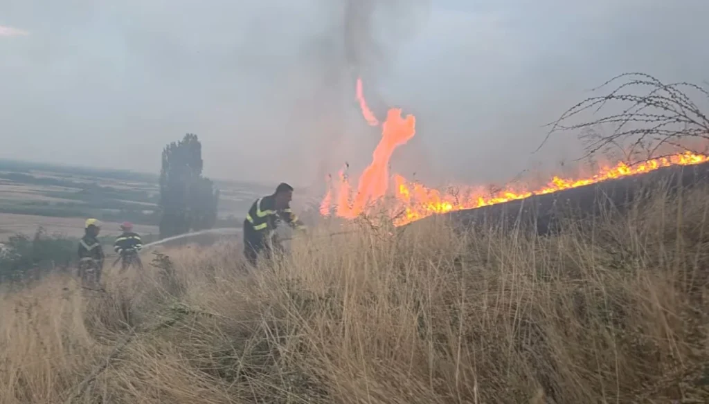 (Видео) Одблизу кај пожарот во Лозани: „Огнот стигна до куќите, опасноста продолжува“