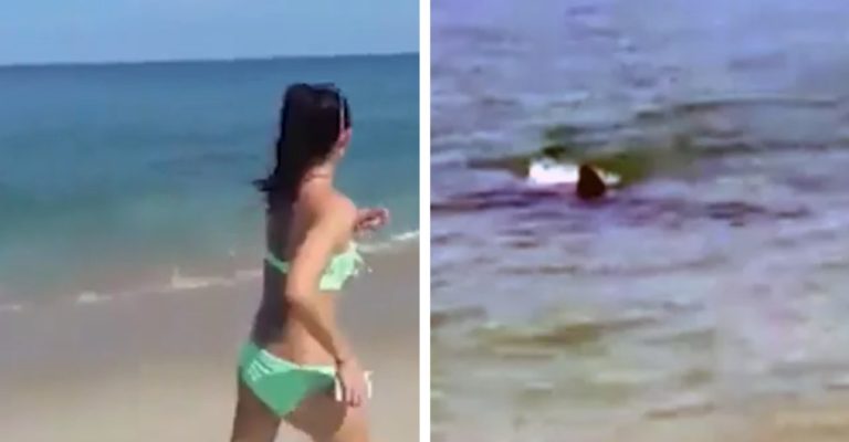 Видео-Голема-бела-ајкула-снимена-на-плажа-во-САД-Пливаше.jpg
