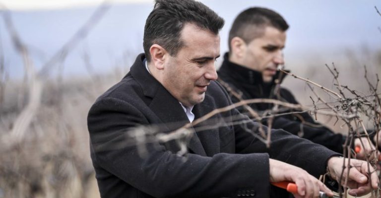 114022020_Zaev_Nikolovski_1-800x533.jpg