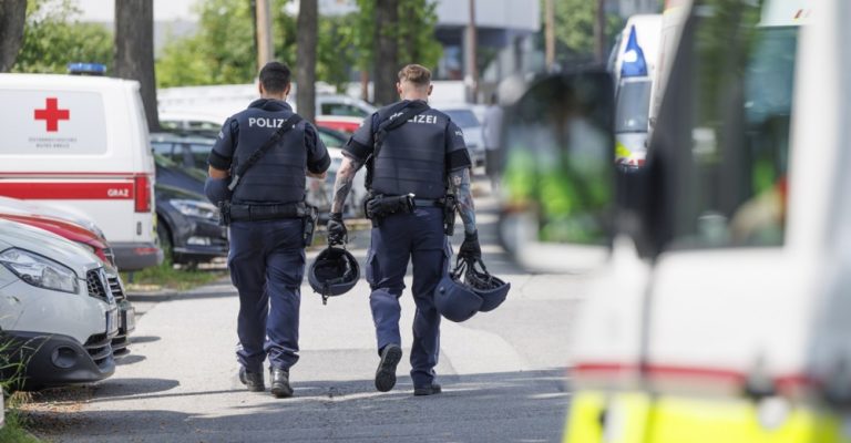 13116398.jpg