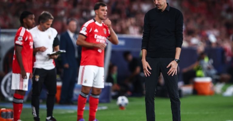13351131.jpg