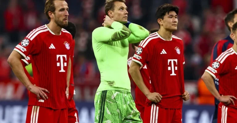 13956628.webp