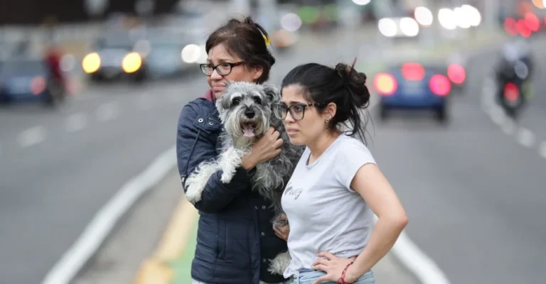 14096257.webp