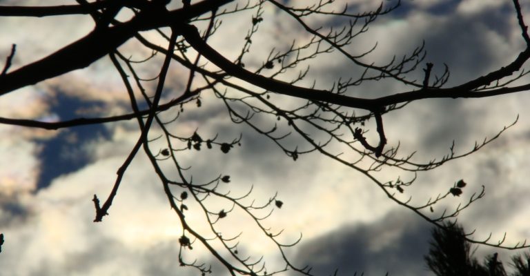 Oblacno_001