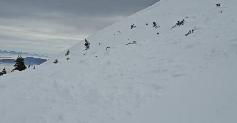 Screenshot-2026-01-29-105431.jpg