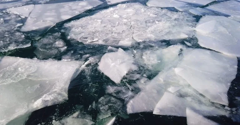 arktik-mraz-depositphotos_251044328_l.webp.webp