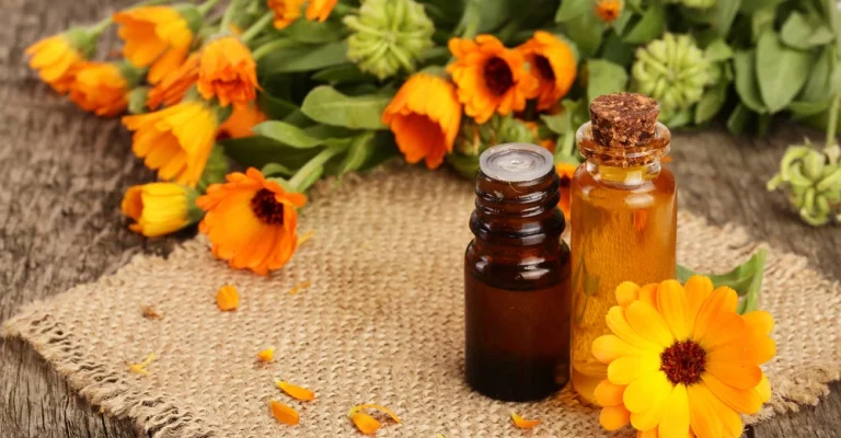 aromatherapy-essential-oil-with-fresh-depositphotos_167223612_s.webp