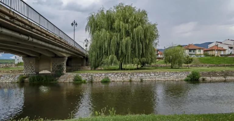 bregalnica-depositphotos_232456808_l.webp