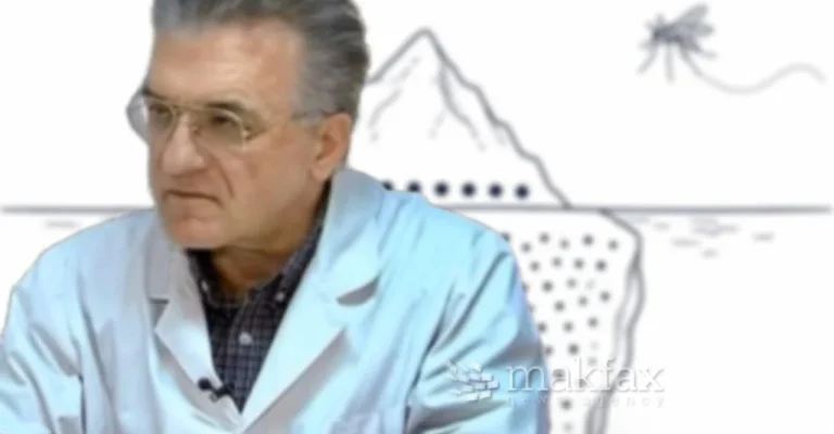 danilovski-komarci-screenshot-2026-07-29-083409.webp