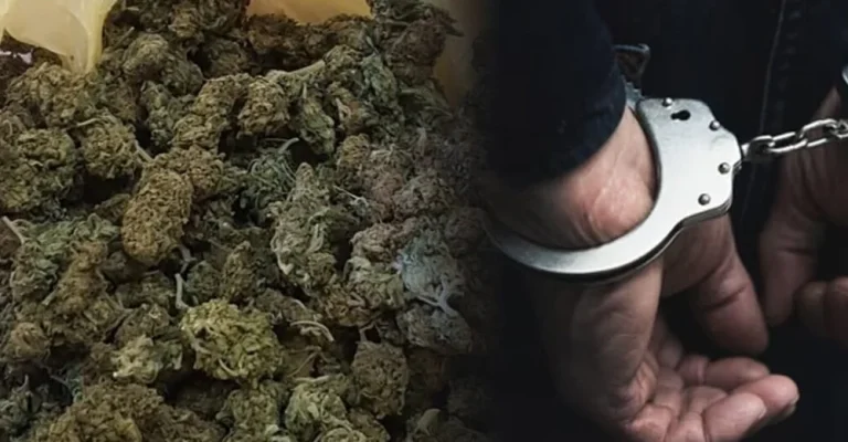 droga-apsenje-mvr-foto.webp