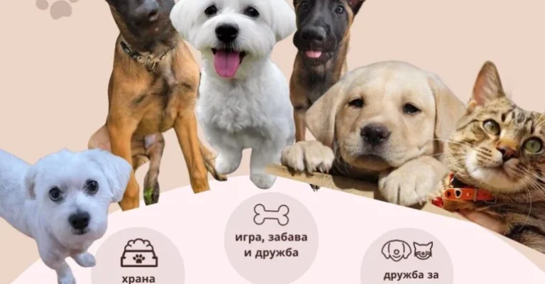 kuchinja-den.webp