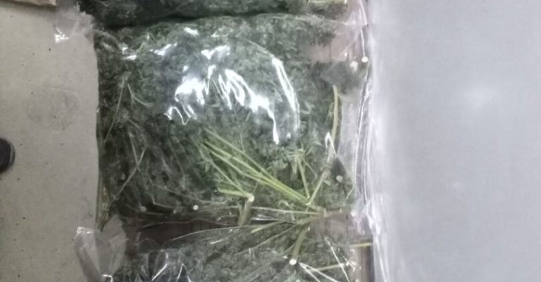 marihuana-kanabis-1.jpg