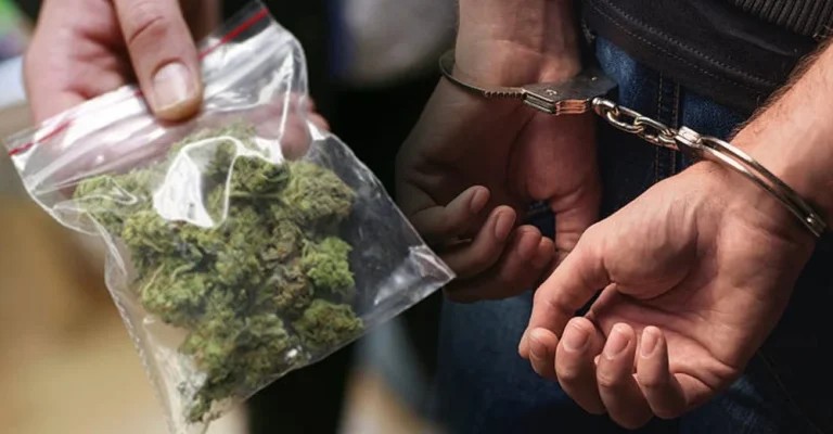 marihuana.webp.webp