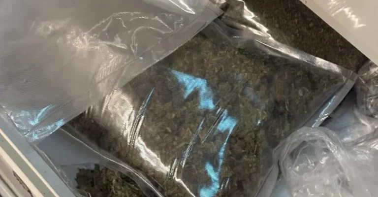 marihuana.webp
