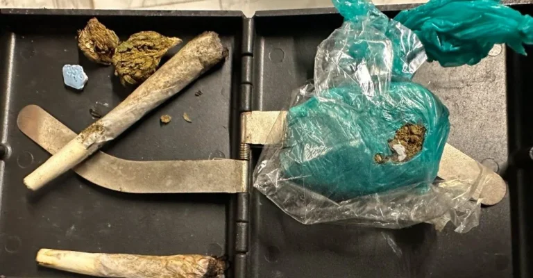 marihuana.webp