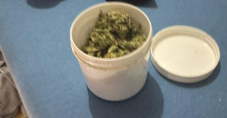 marihuana-zaplena-2.jpg