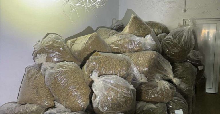 marihuana-zaplena-5.jpg