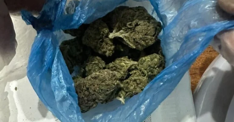 marihuana-zaplena-mvr-10juni.webp