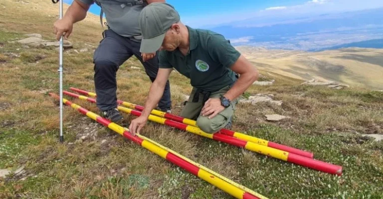 markacija.webp