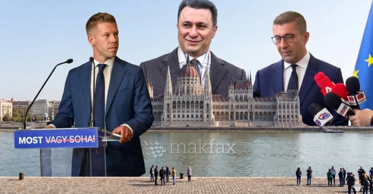 micko-grujo-madzar.webp