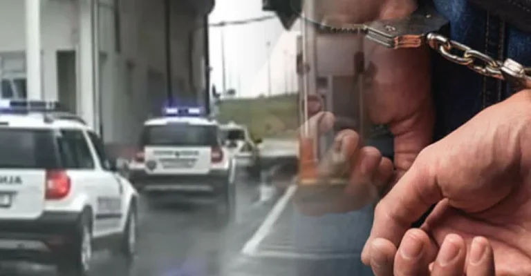 mvr-policija-lisici.webp
