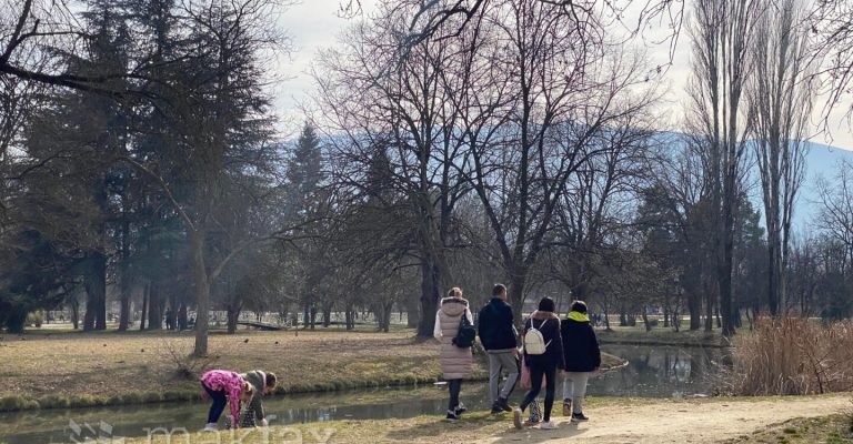 park_2342423