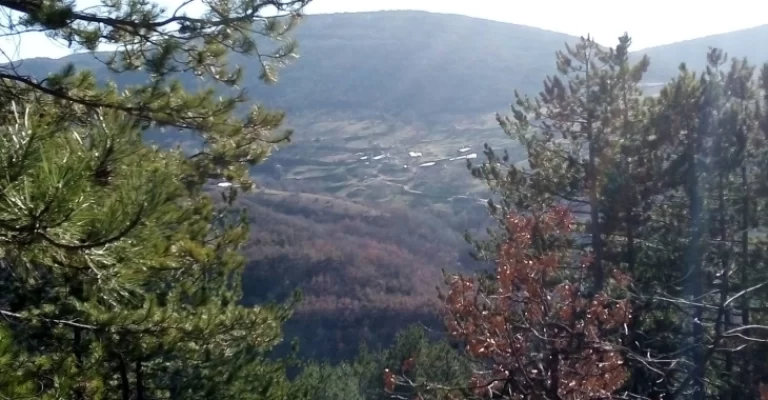 plachkovica