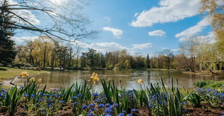 proletpexels-filirovska-8259548.webp