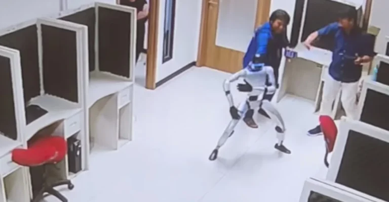robot.webp