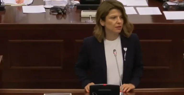 sanja-l-sdsm.webp