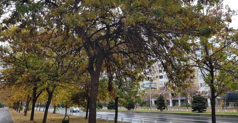 skopje-dozd.jpg