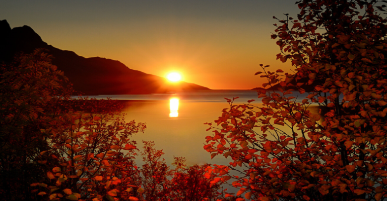 sonce-esen-800x406.png