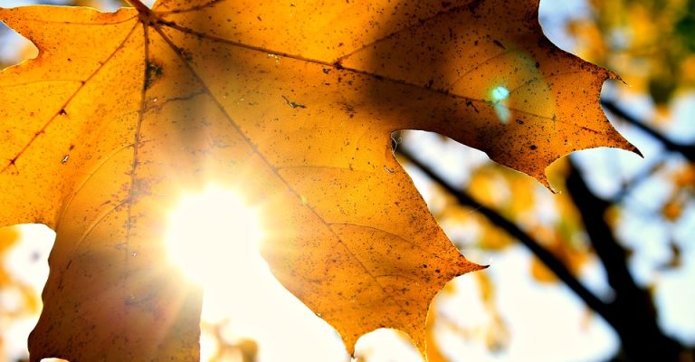 sonce_toplo_esen_1717412_960_720