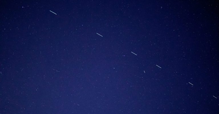 starlink-forest-katsch-E-d5IGC-_u8-unsplash.jpg