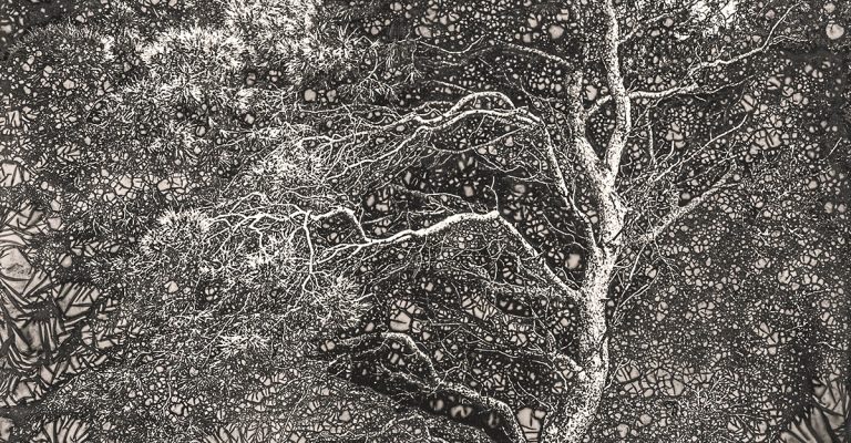 thumbnail_Rovinj-mordancange.jpg