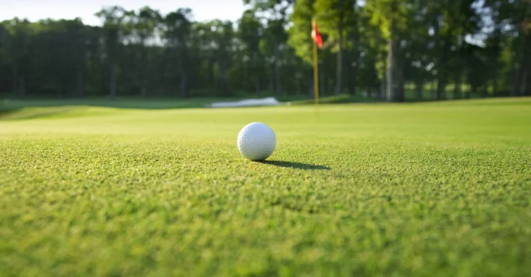 tramp-golf-depositphotos_21009547_l.webp