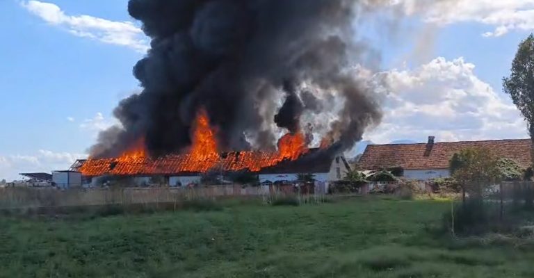 trubarevo-pozar-nova-slika.jpg