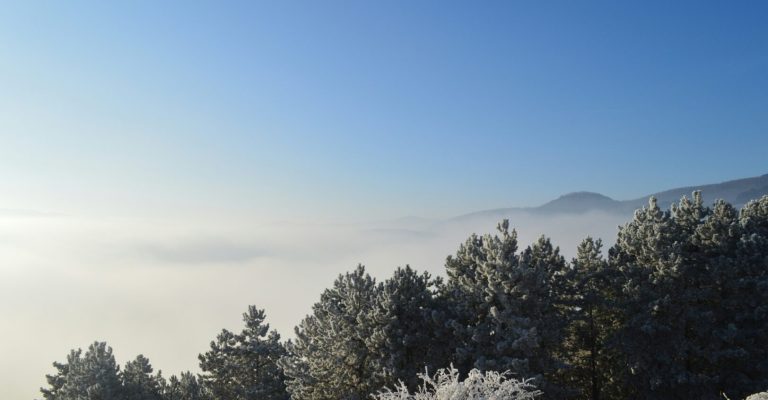 utro-zima-studeno-maria-hada-Kf5-8Rwxs6g-unsplash.jpg