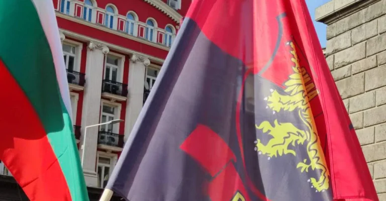 vmro5-1024x846-1.webp