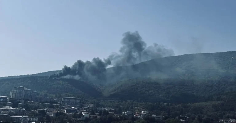 vodno-chad.webp