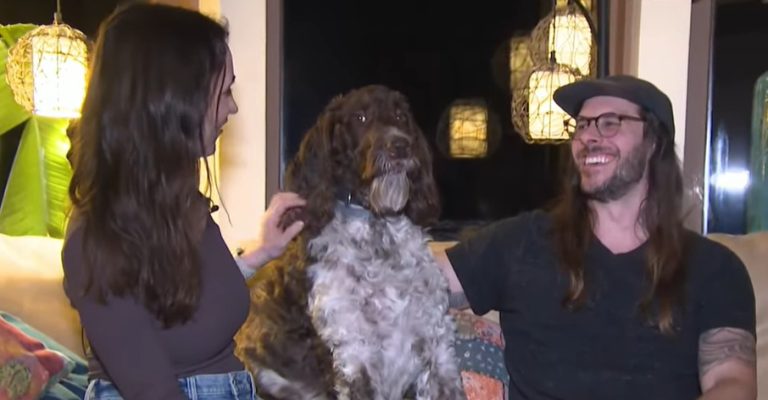 Видео-Куче-во-САД-изело-4000-долари-ги-нашло-во.jpg