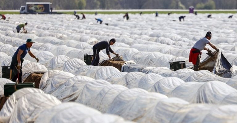 Во-Германија-има-околу-700000-непополнети-работни-места.jpg